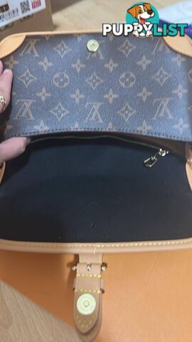 Louis Vuitton Diane Monogram Bag