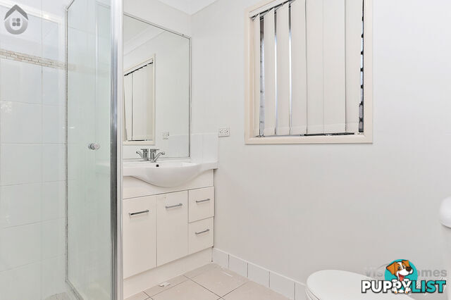 20 OBRIEN COURT COLLINGWOOD PARK QLD 4301