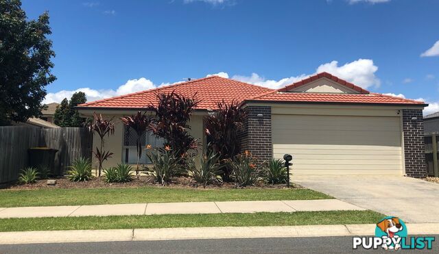 30 Piccadilly St Bellmere QLD 4510