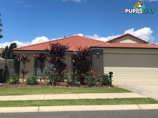 30 Piccadilly St BELLMERE QLD 4510