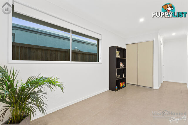 64 Stanicki circuit BELLBIRD PARK QLD 4300