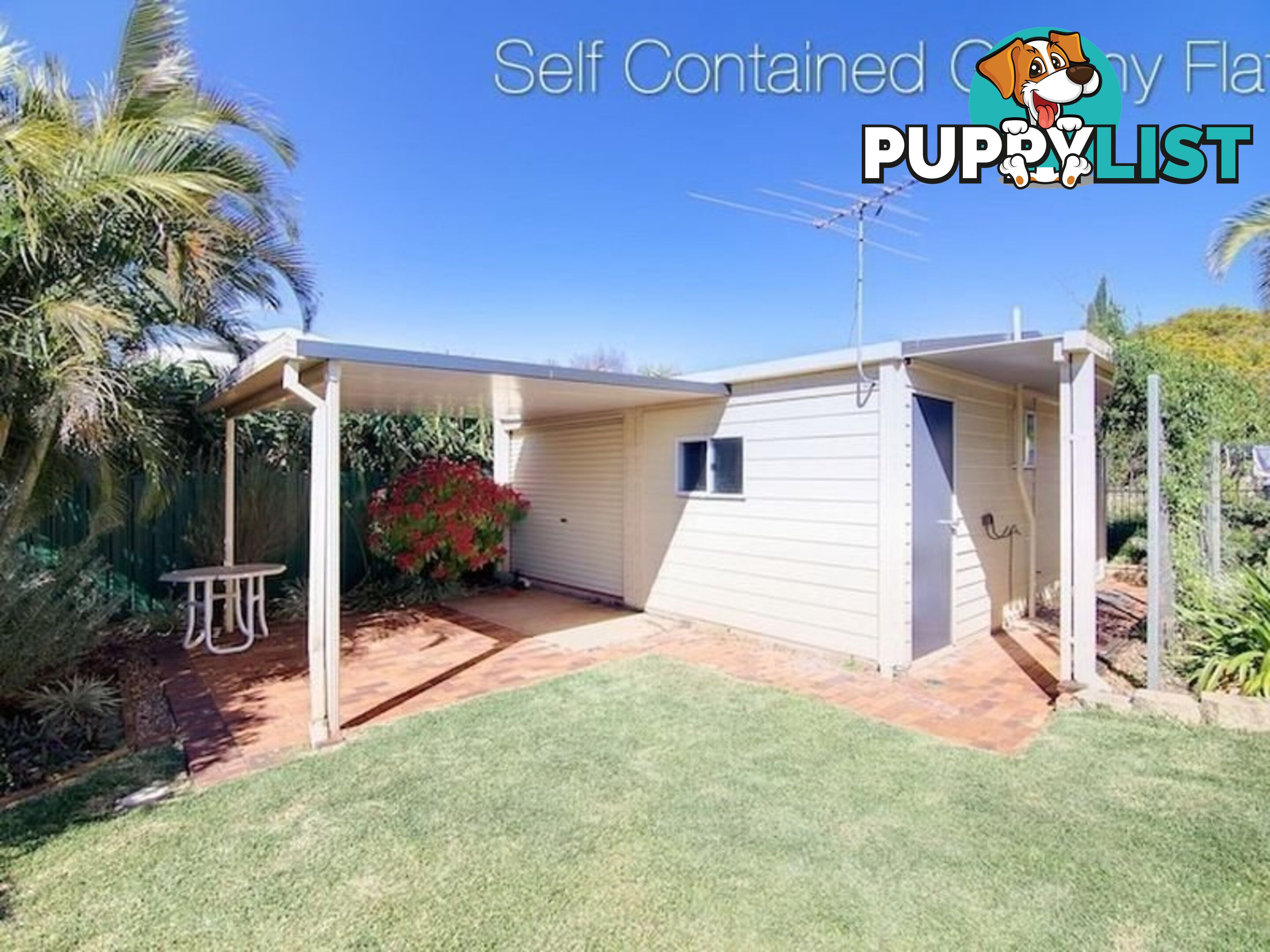 9 Shamrock St Ormiston QLD 4160