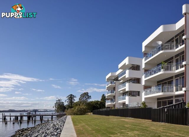 34 21 Byron St Bulimba QLD 4171