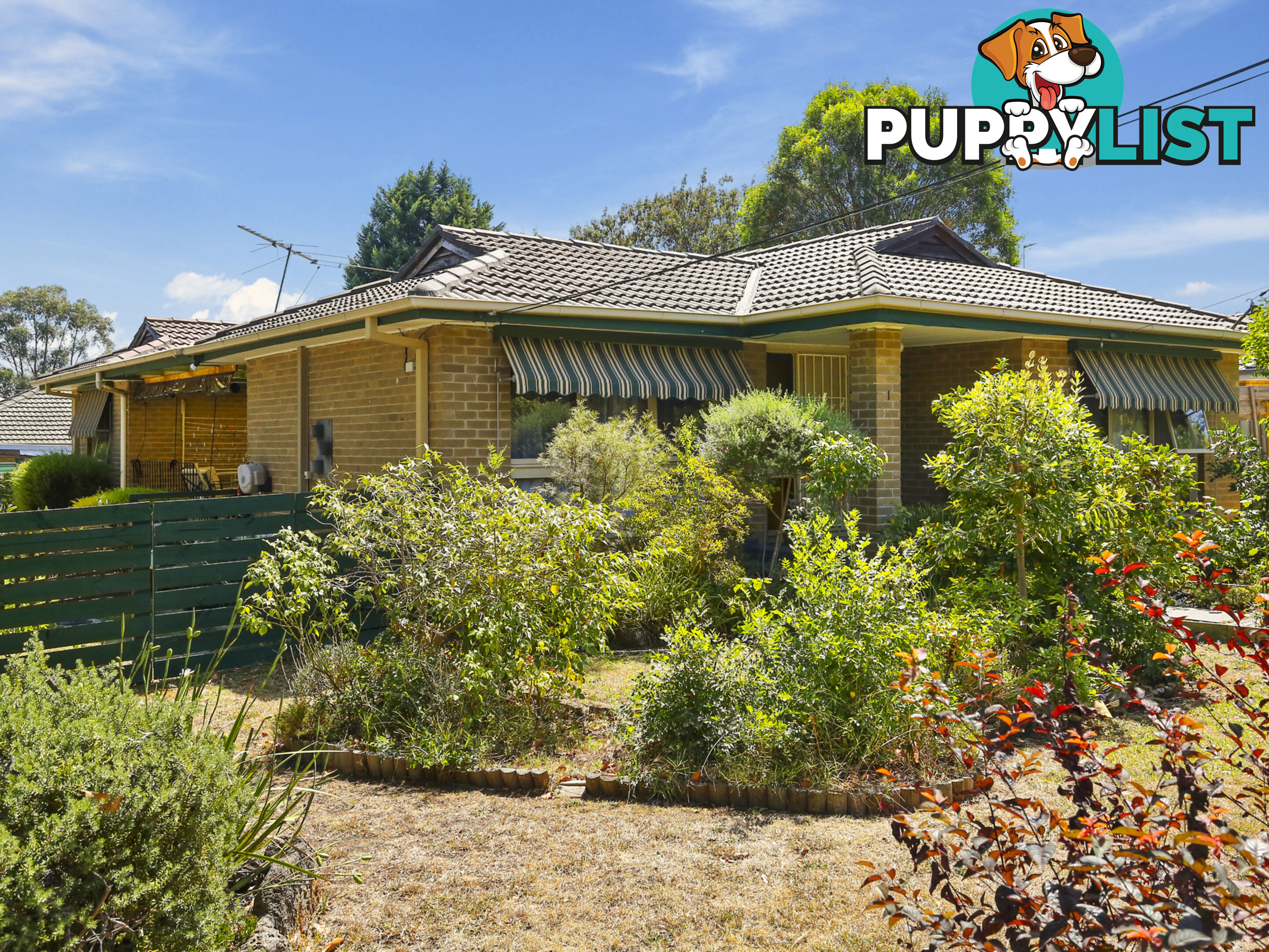 1 Paris Avenue CROYDON SOUTH VIC 3136