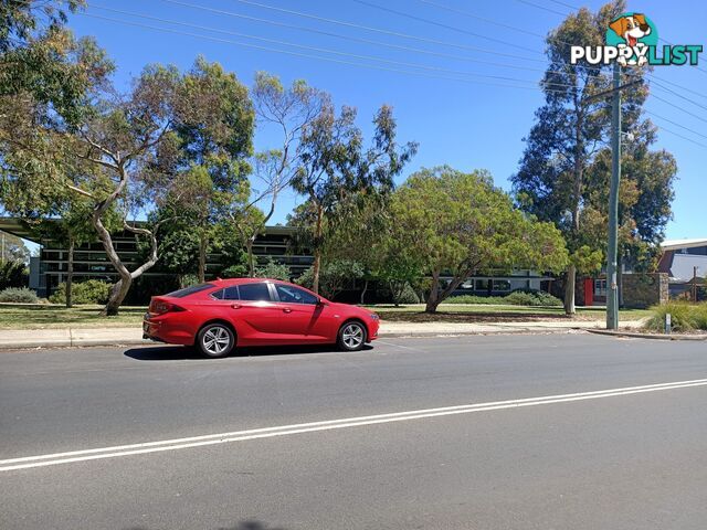 2018 Holden Commodore ZB LT Sedan Automatic