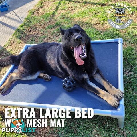 XL CHEWPROOF DOG BED WITH MESH MAT