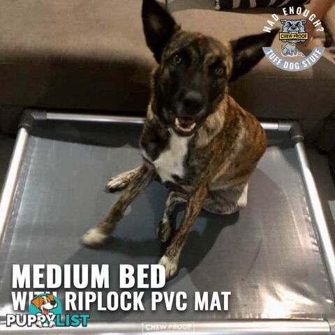 MEDIUM CHEWPROOF DOG BED WITH RIPLOCK PVC MAT