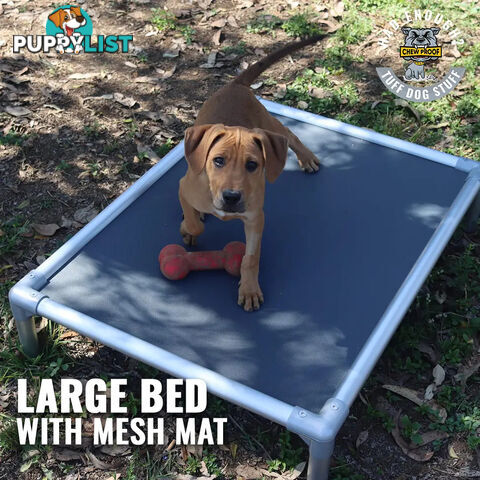 LARGE CHEWPROOF DOG BED WITH MESH MAT