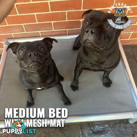 MEDIUM CHEWPROOF DOG BED WITH MESH MAT