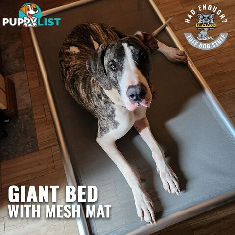 GIANT CHEWPROOF DOG BED WITH MESH MAT