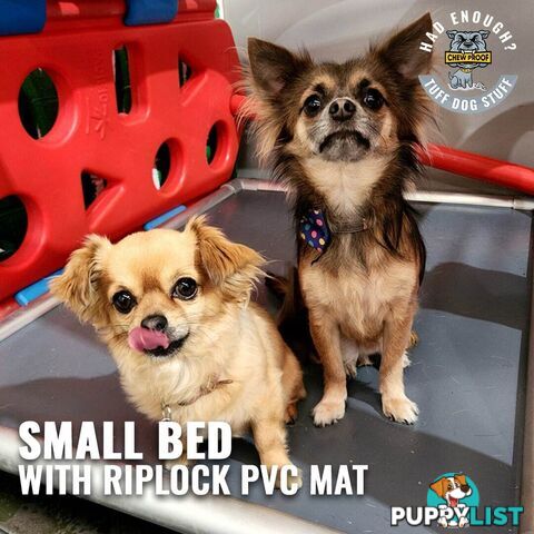 SMALL CHEWPROOF DOG BED WITH RIPLOCK PVC MAT