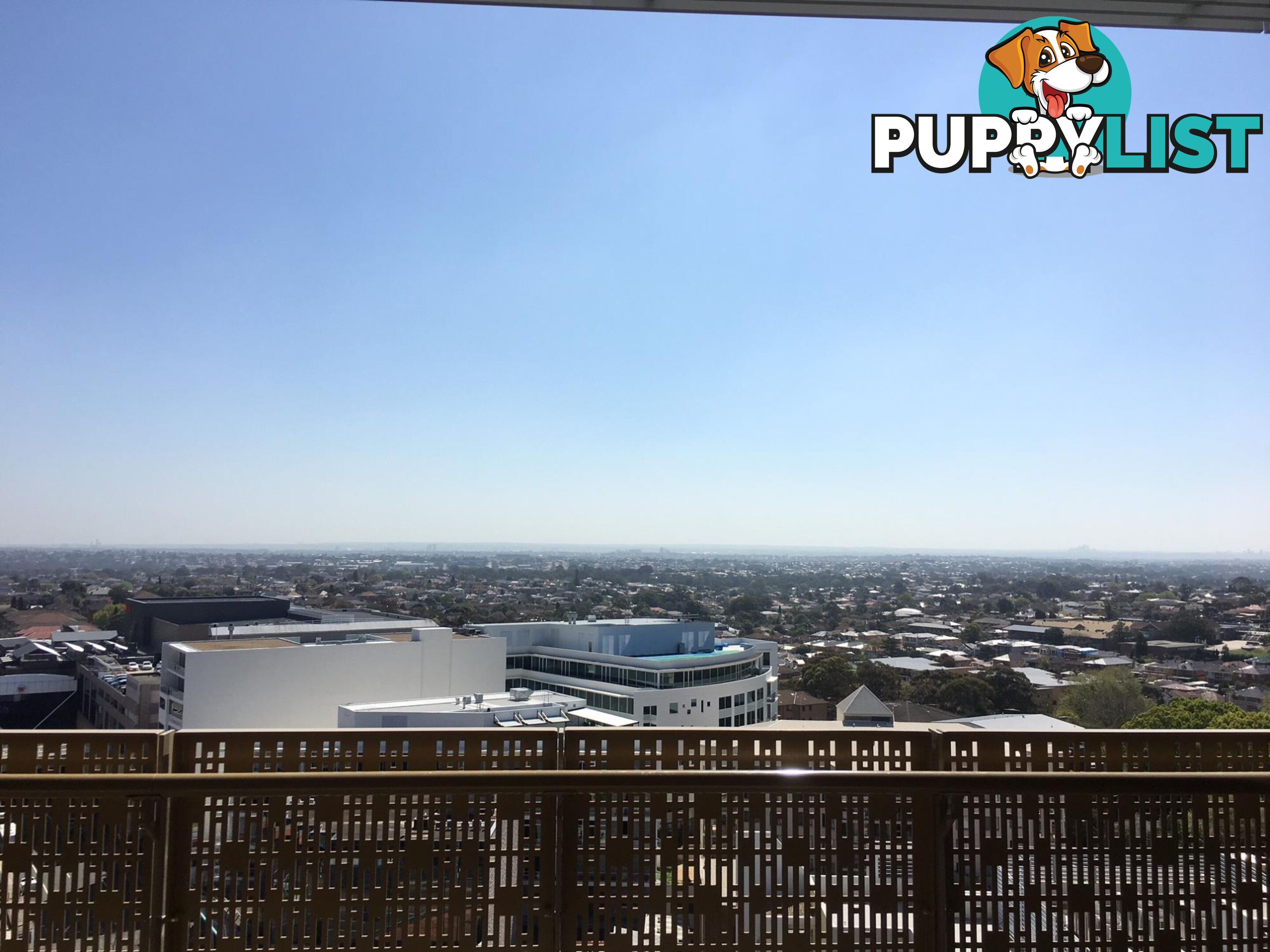 1302/31 Treacy Street HURSTVILLE NSW 2220