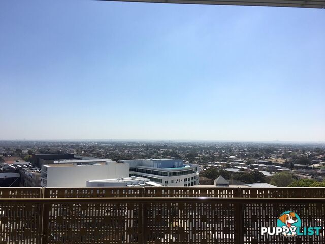 1302/31 Treacy Street HURSTVILLE NSW 2220