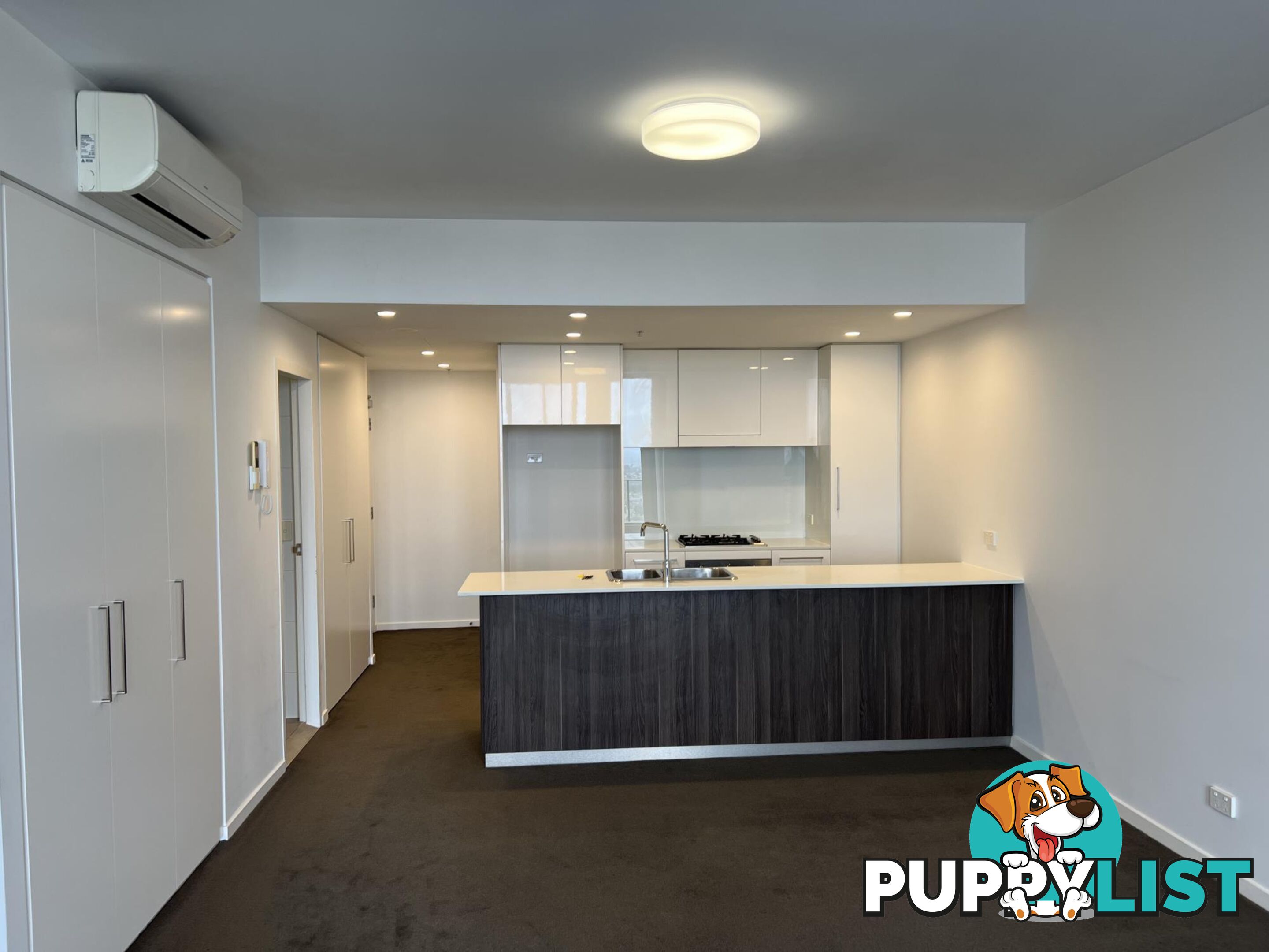 1509/458 Forest Road HURSTVILLE NSW 2220