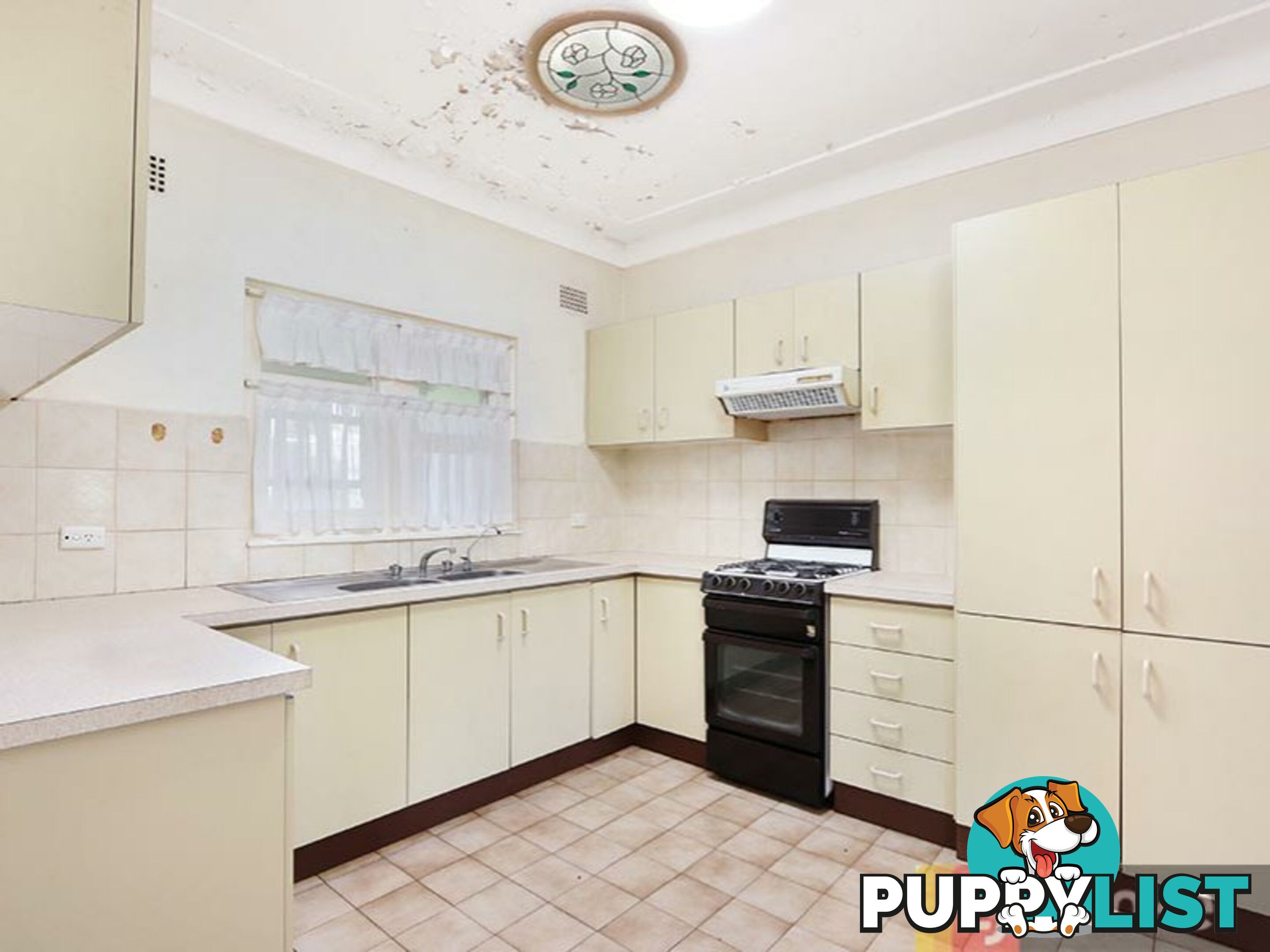 64 Argyle Street PENSHURST NSW 2222