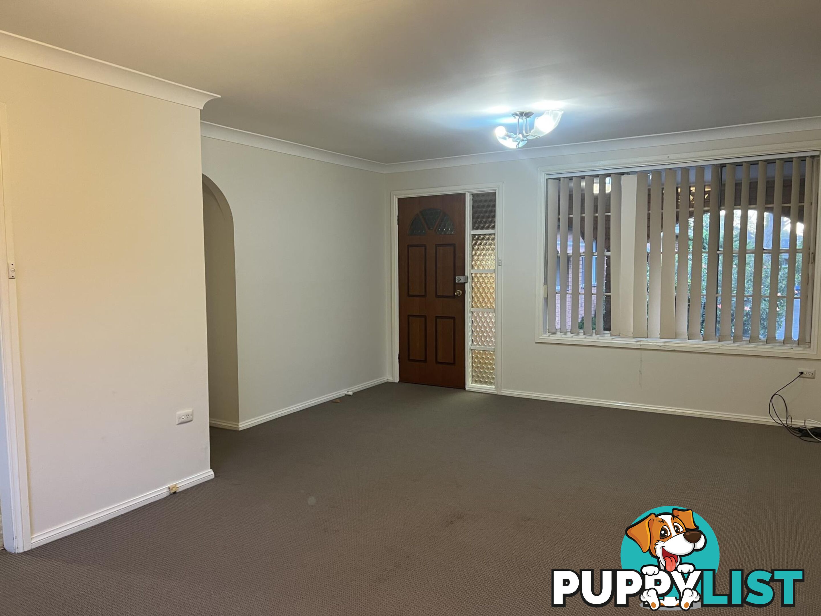 3/50 Bassett Street HURSTVILLE NSW 2220