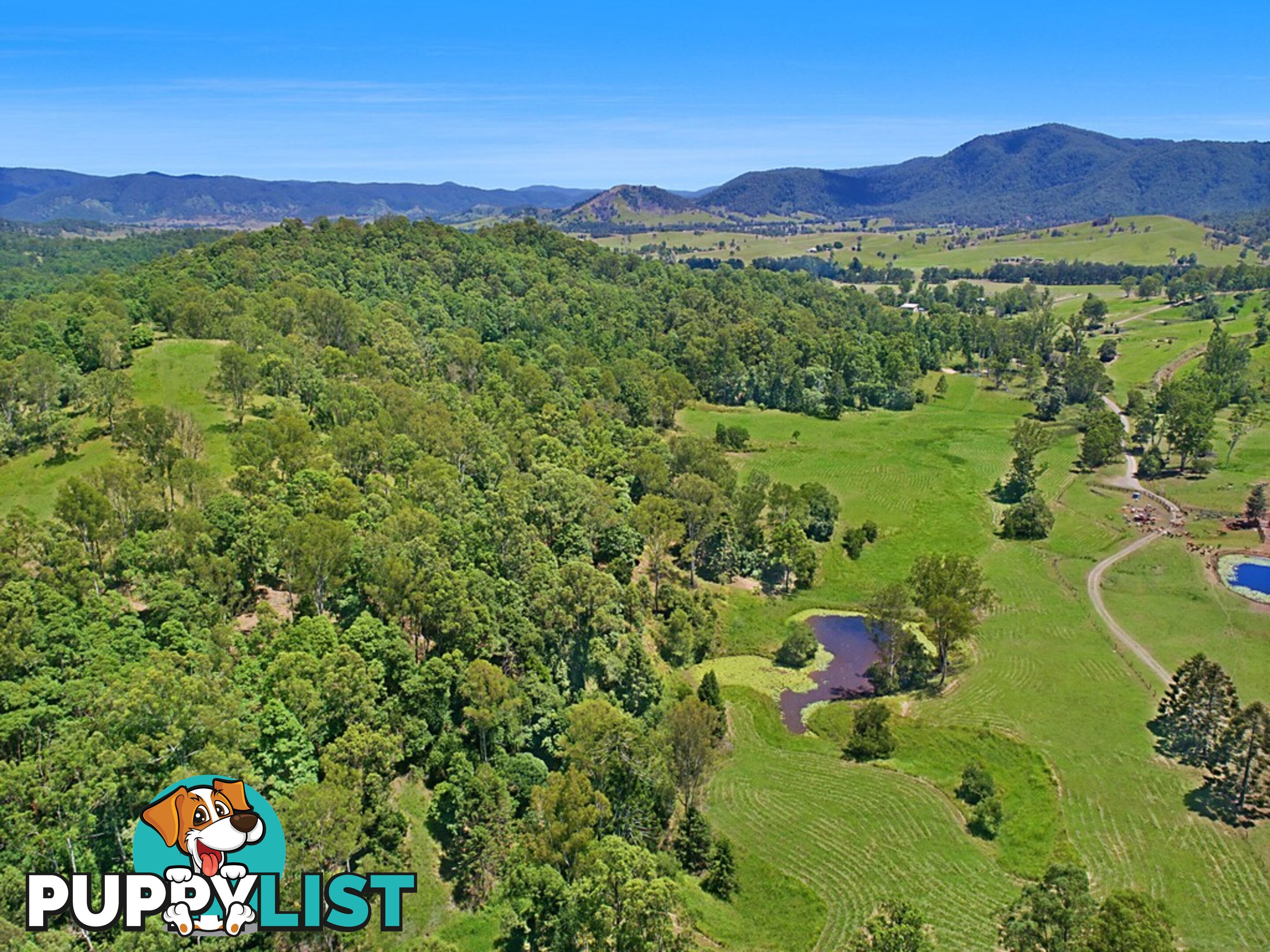 CONONDALE QLD 4552