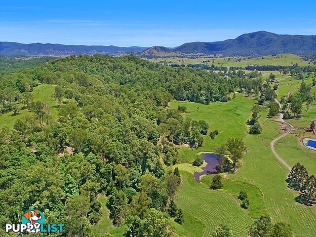 CONONDALE QLD 4552