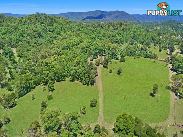 CONONDALE QLD 4552