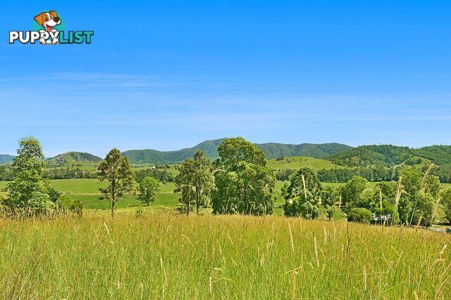 CONONDALE QLD 4552
