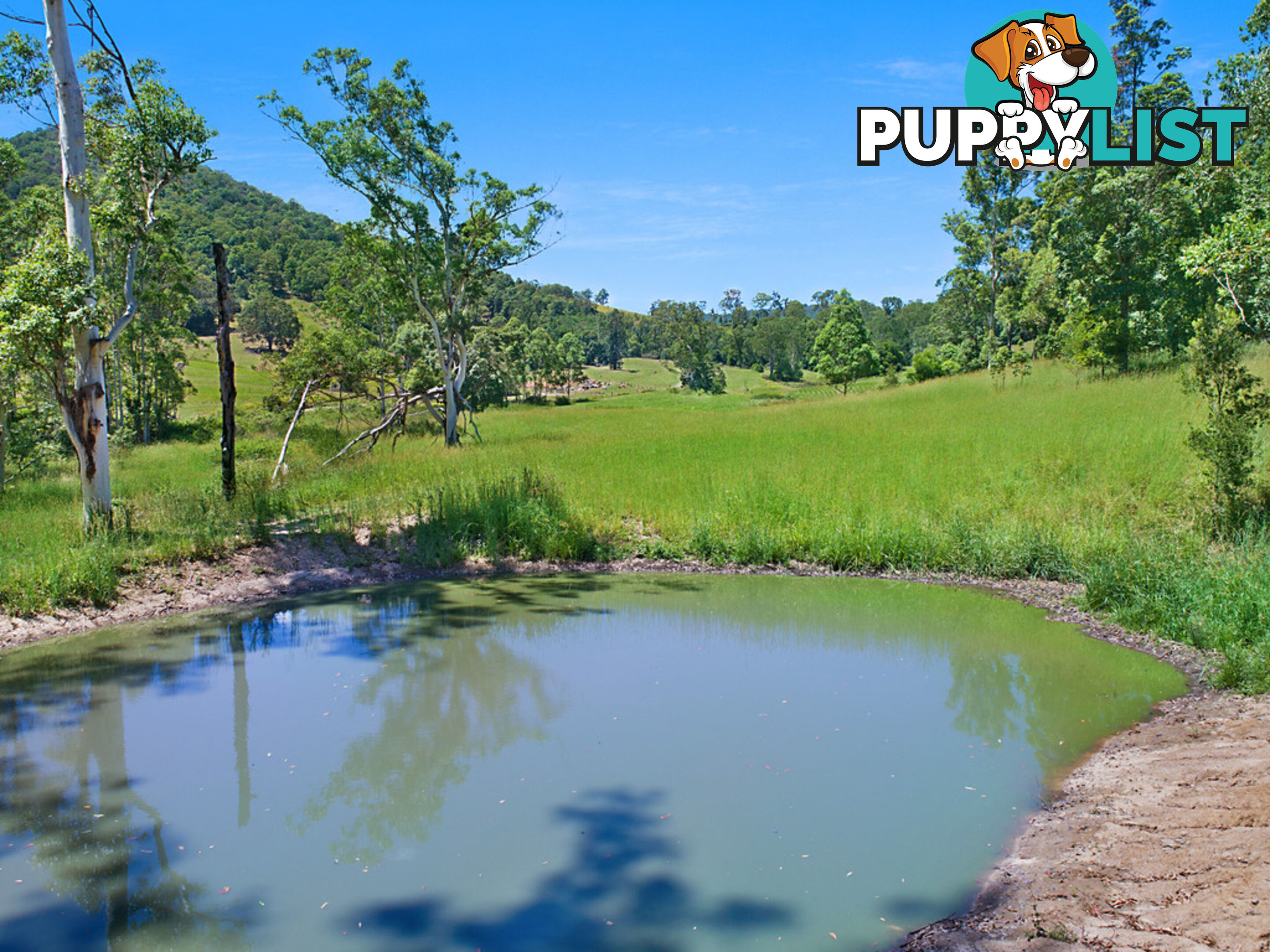 CONONDALE QLD 4552