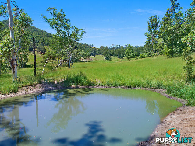 CONONDALE QLD 4552