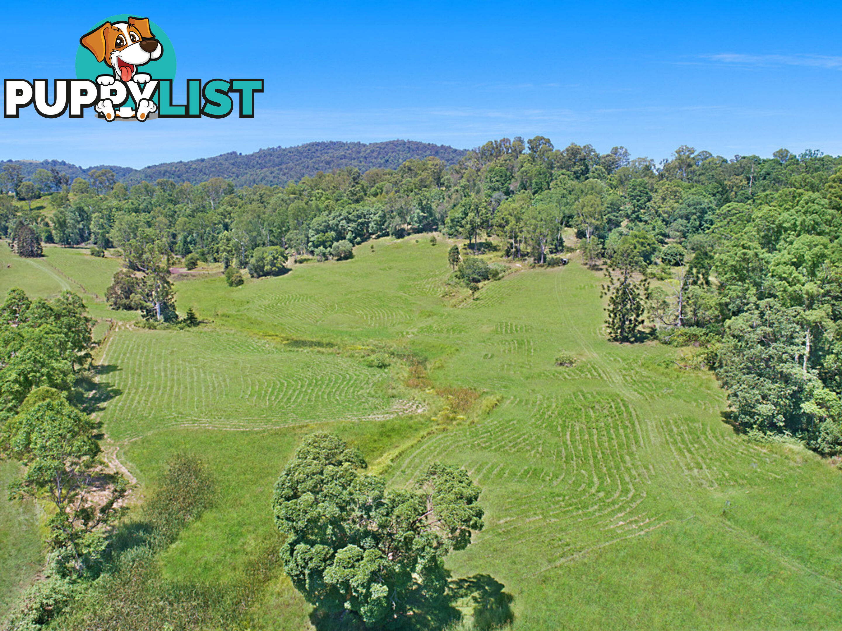 CONONDALE QLD 4552