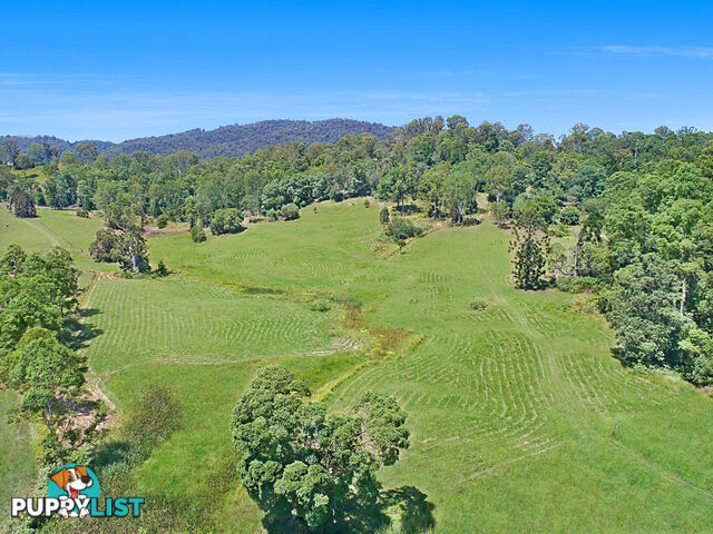 CONONDALE QLD 4552