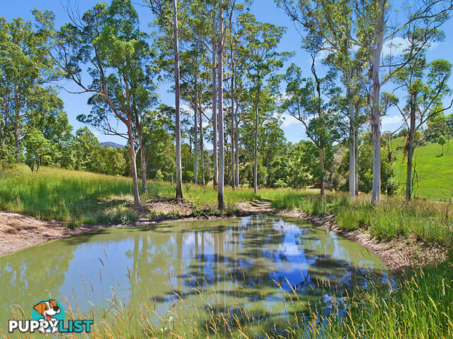 CONONDALE QLD 4552