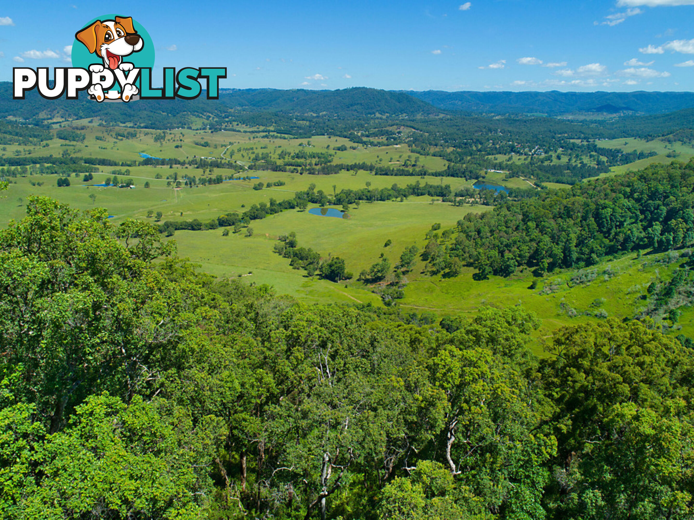 Lot140 Cookes Road CONONDALE QLD 4552