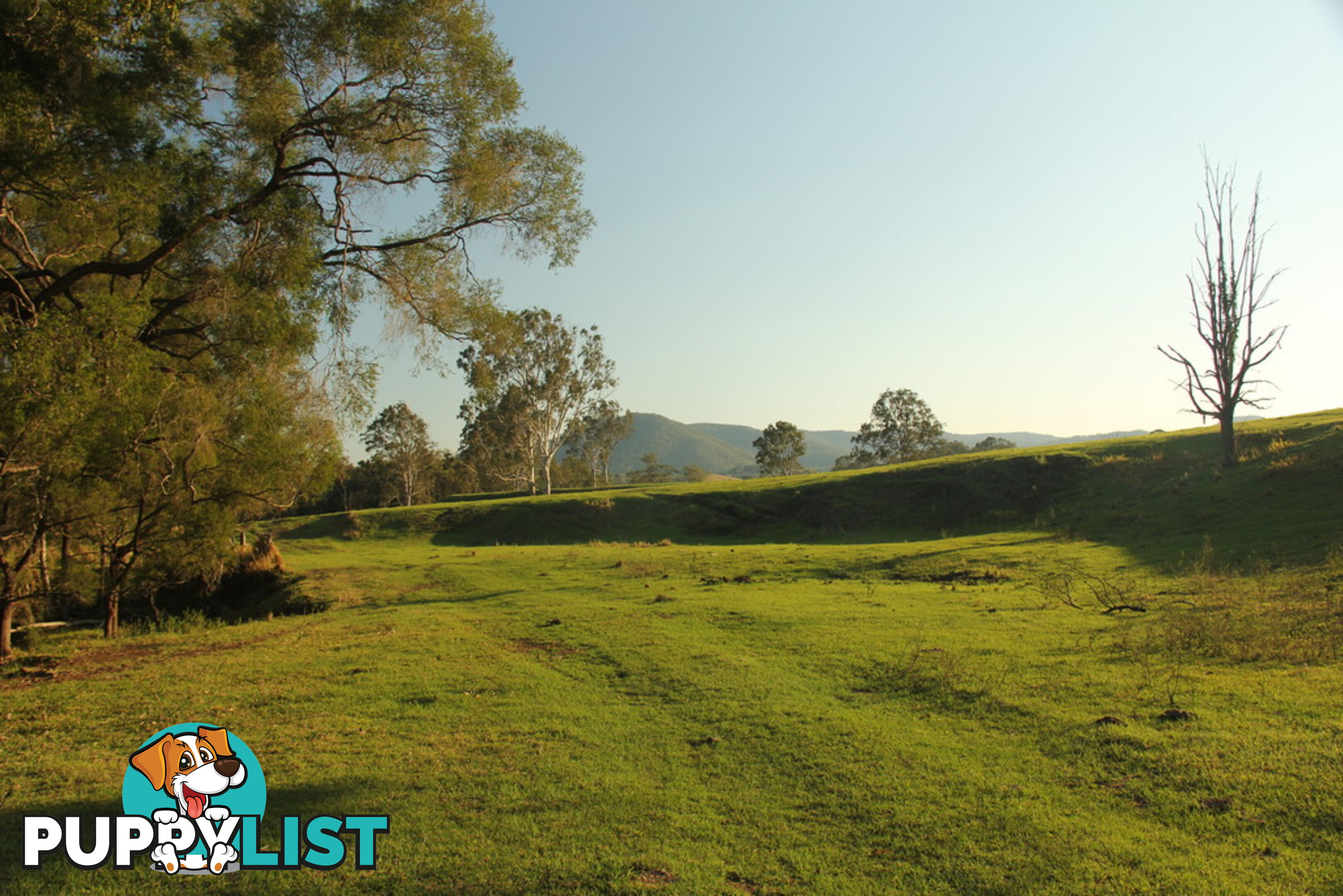 Lot140 Cookes Road CONONDALE QLD 4552