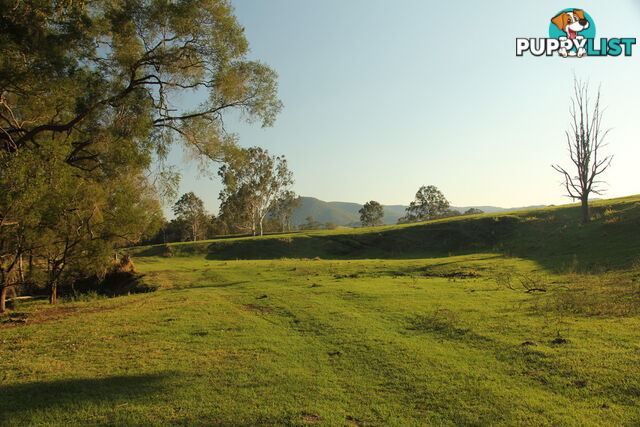 Lot140 Cookes Road CONONDALE QLD 4552