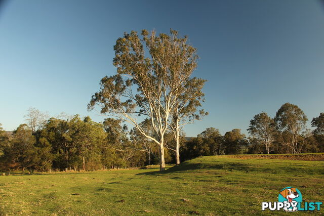 Lot140 Cookes Road CONONDALE QLD 4552