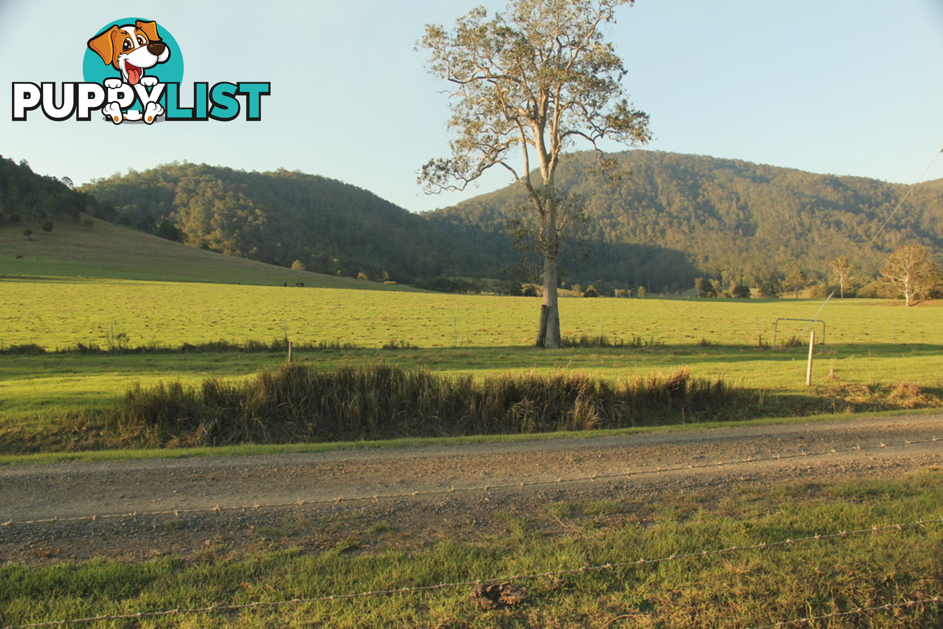 Lot140 Cookes Road CONONDALE QLD 4552