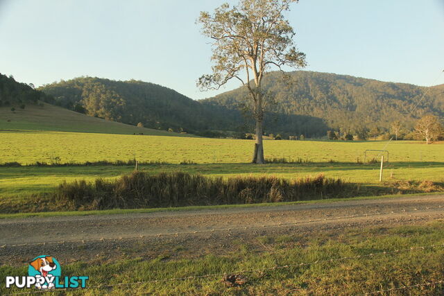 Lot140 Cookes Road CONONDALE QLD 4552