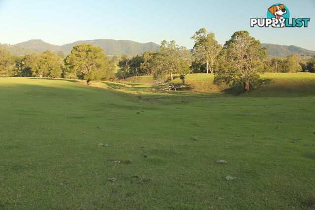 Lot140 Cookes Road CONONDALE QLD 4552