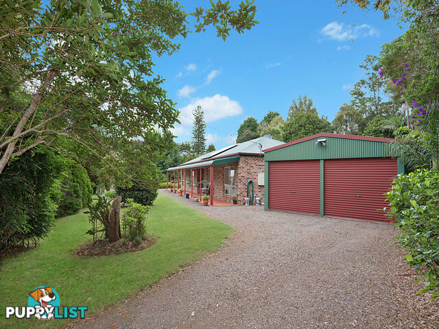 10 Koala Court WITTA QLD 4552
