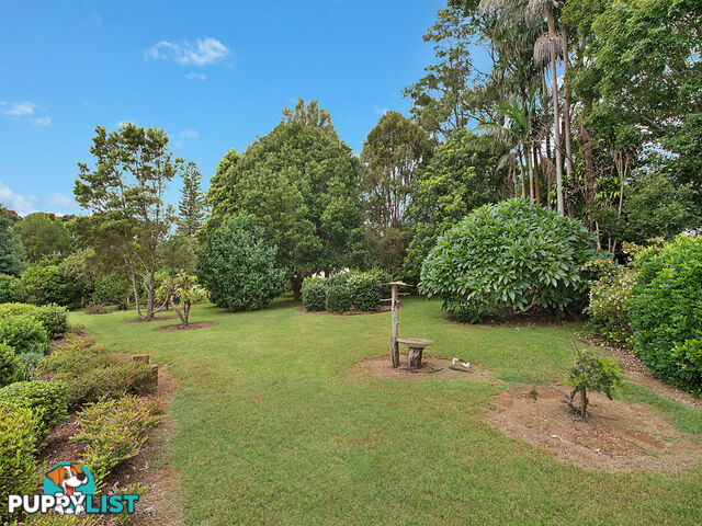 10 Koala Court WITTA QLD 4552