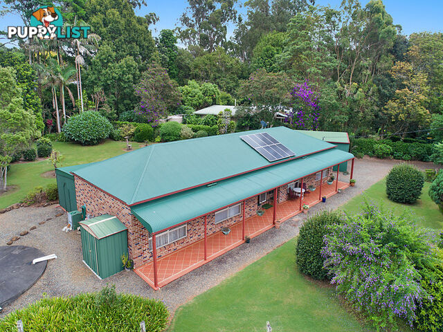 10 Koala Court WITTA QLD 4552