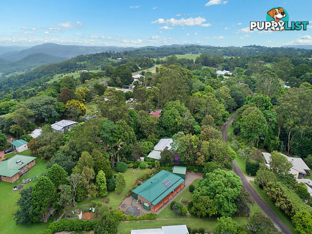 10 Koala Court WITTA QLD 4552