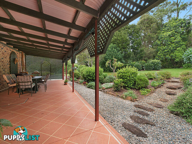 10 Koala Court WITTA QLD 4552