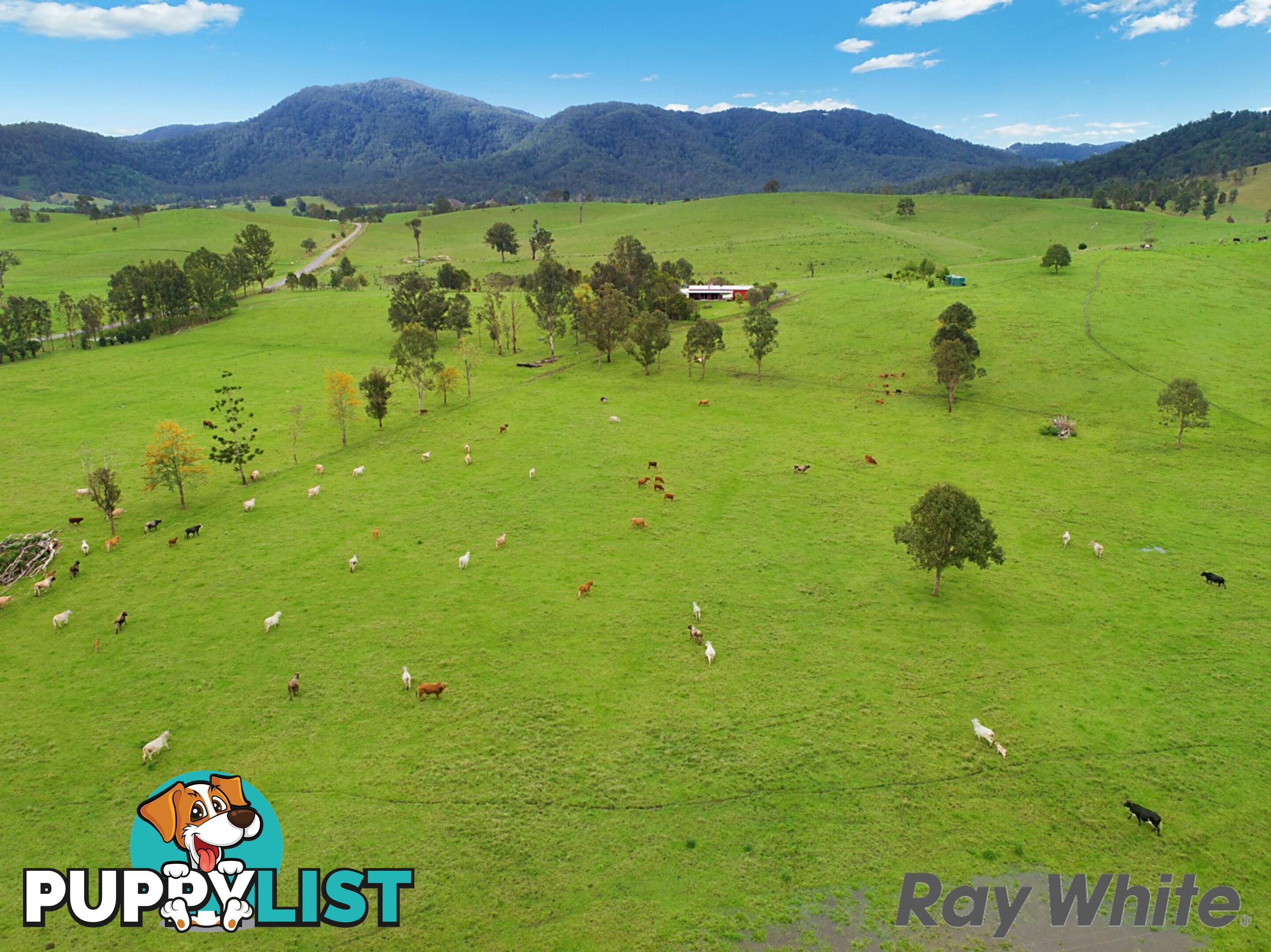 14 Cookes Road CONONDALE QLD 4552