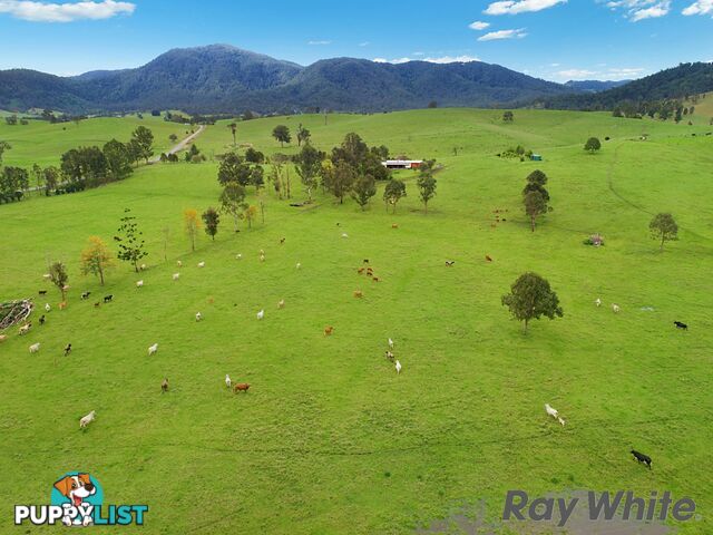 14 Cookes Road CONONDALE QLD 4552