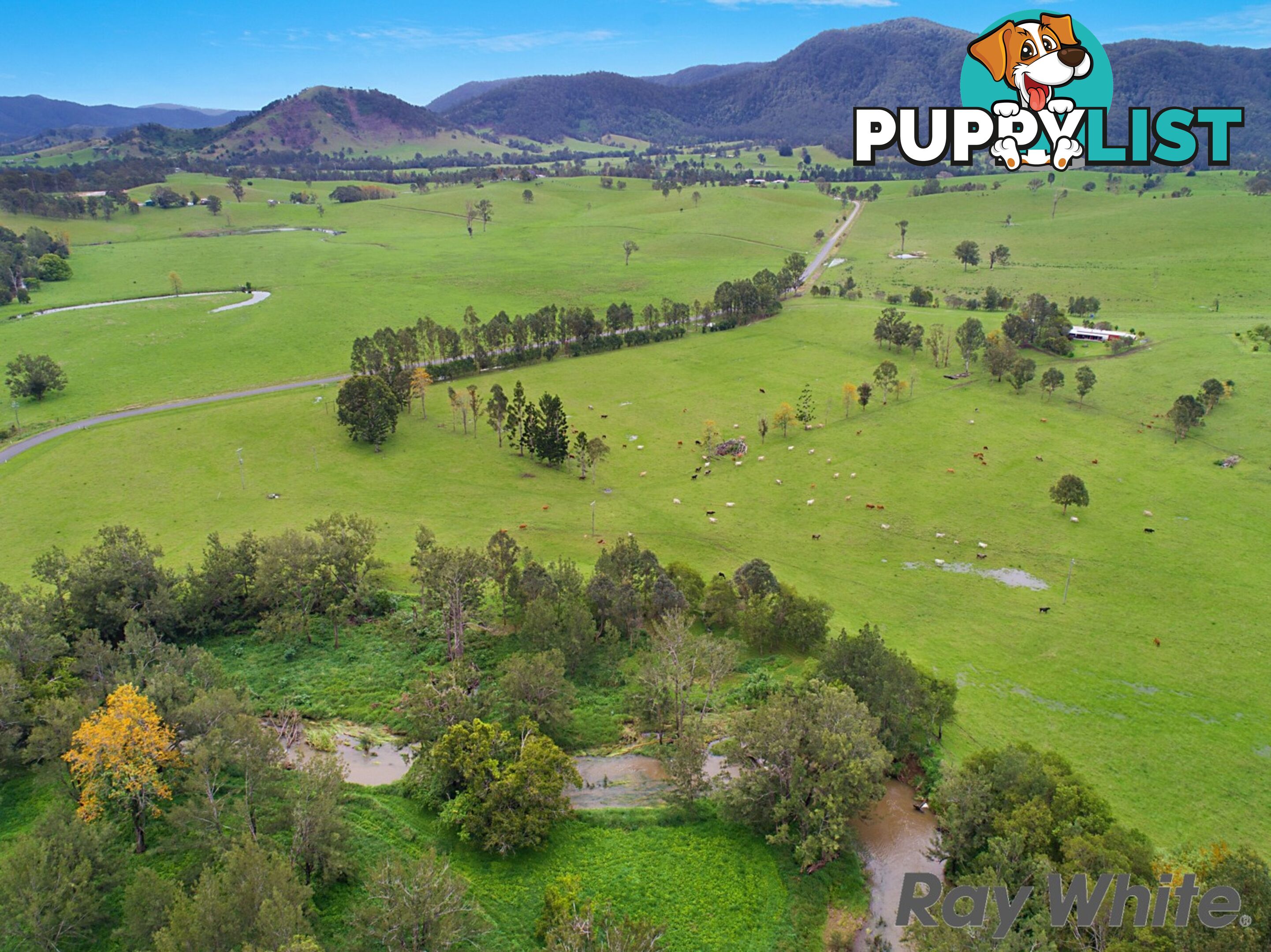 14 Cookes Road CONONDALE QLD 4552