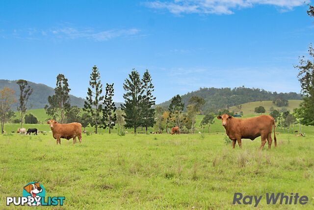 14 Cookes Road CONONDALE QLD 4552