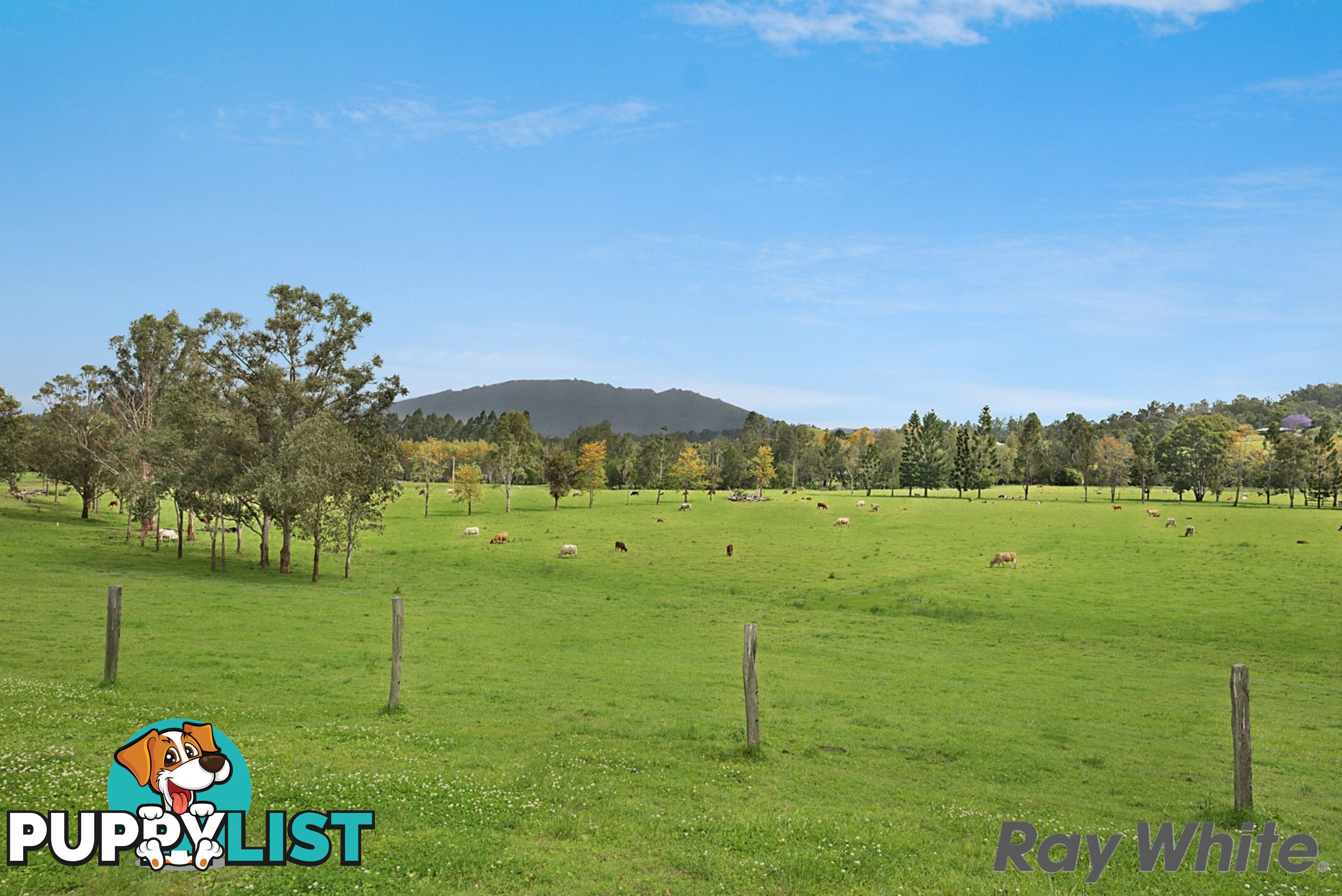 14 Cookes Road CONONDALE QLD 4552