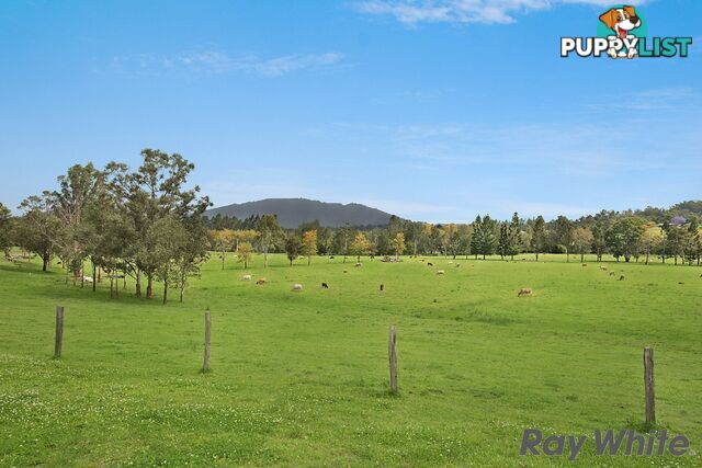 14 Cookes Road CONONDALE QLD 4552