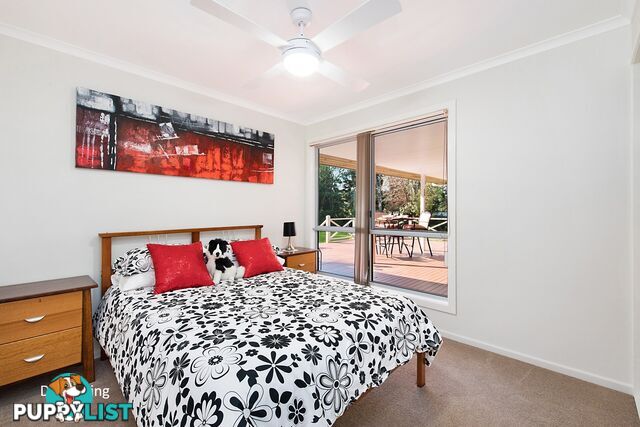 16 Berganns Road WITTA QLD 4552