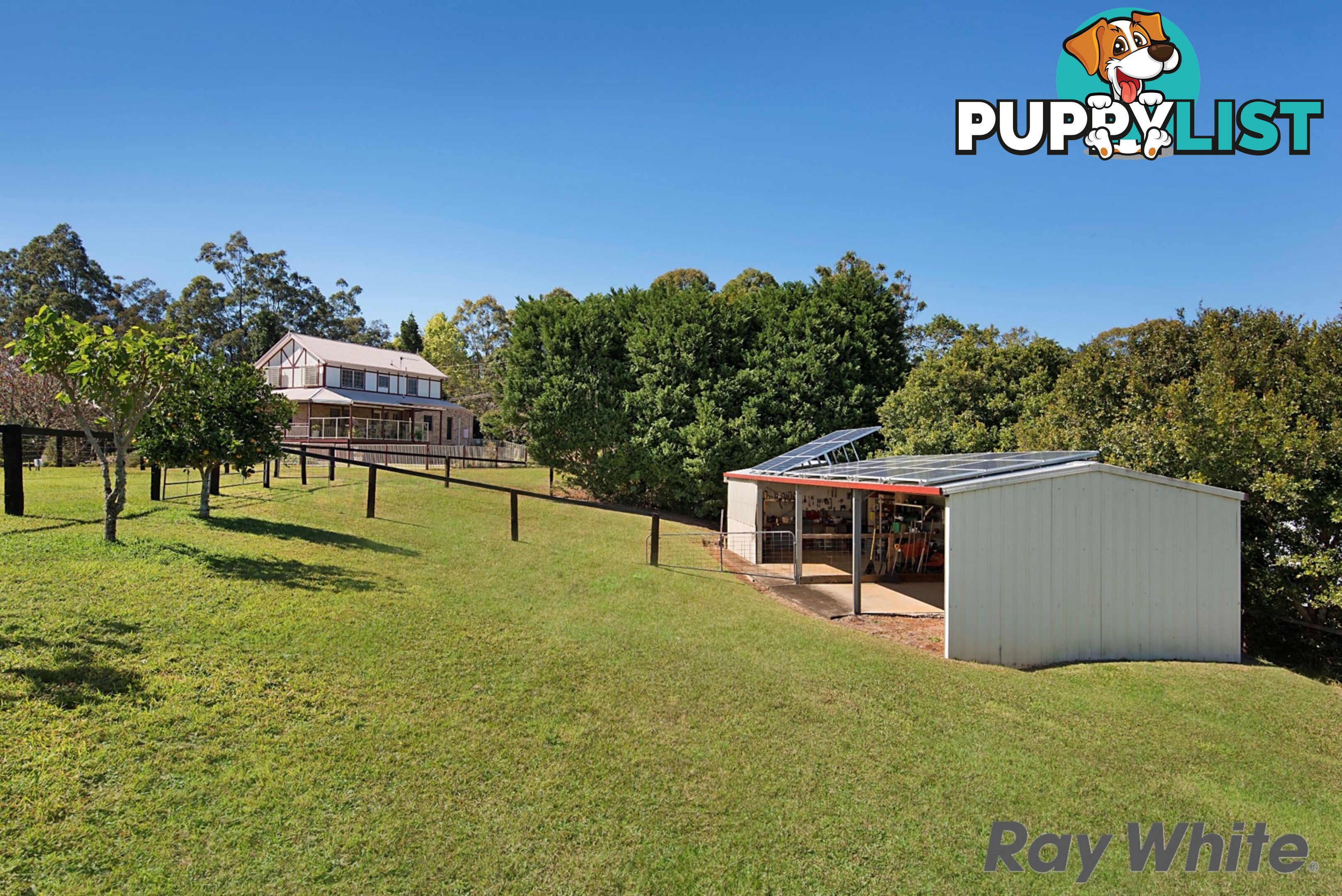 116 Ruddle Drive REESVILLE QLD 4552