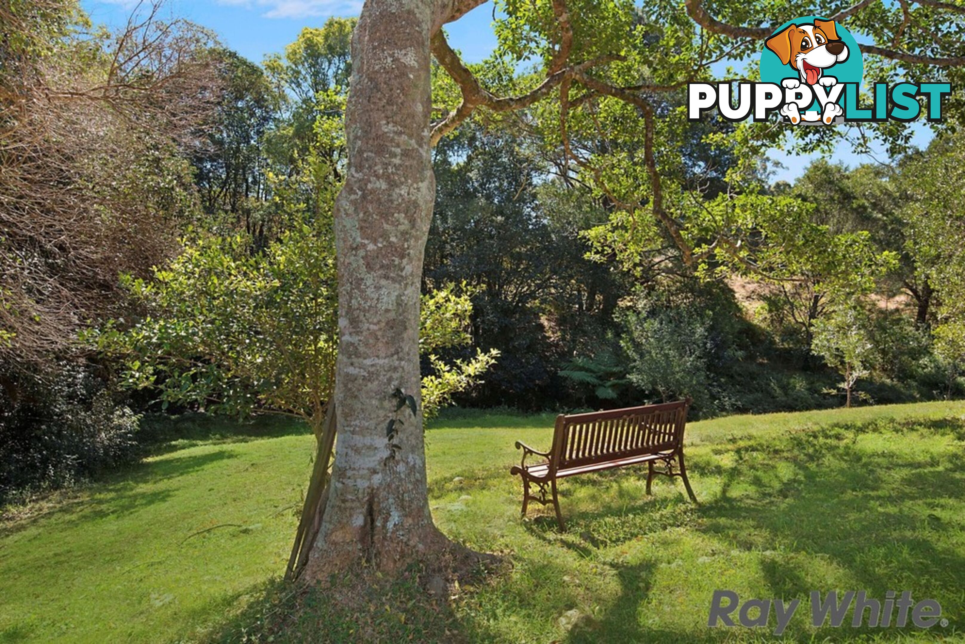 116 Ruddle Drive REESVILLE QLD 4552